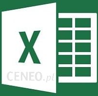 Microsoft Excel 2013 MOLP (065-08133)