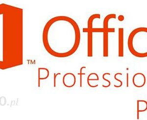 Microsoft Office Professional Plus 2013 MOLP AE (79P-04730)