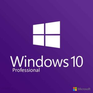 Microsoft Windows 10 Professional 64bit ESD